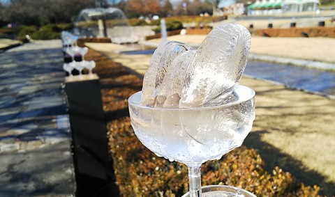 グラスに張った氷