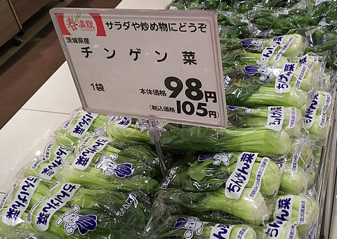 チンゲン菜が９８円