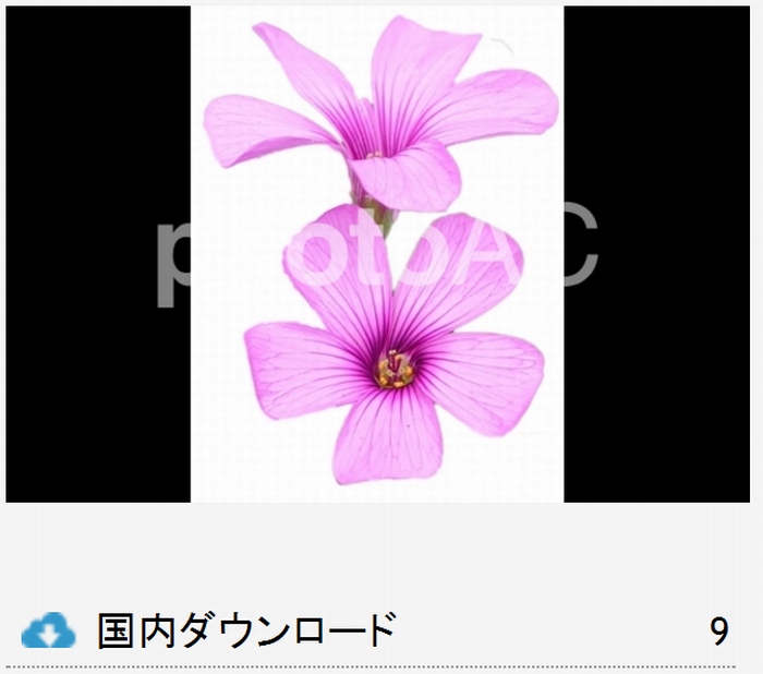 花の切り抜き写真